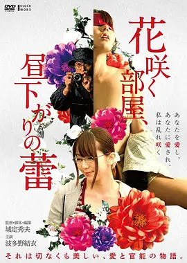 荒野邮差 高清电影免费在线观看